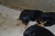 Offspring E